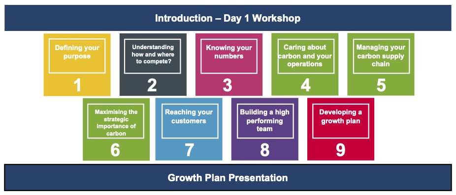 Programme structure